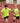 61013_NEW-Kids-Performance-Shorts-with-Performance-Ts-Double