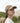 B652N_Beechfield_Organic-Cotton-6-Panel-Dad-Cap_B652N_Desert-Sand-Lifestyle-1