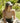 B801_Beechfield_EarthAware-Organic-Cotton-Canvas-6-Panel-Cap_B801_olive-green_lifestyle_1086