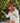 B825_Beechfield_EarthAware-Classic-Organic-Cotton-5-Panel-Cap_B825_classic-red_lifestyle_3506