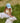 Beechfield_Junior Low Profile Vintage Cap_B655b_vintage-light-blue_lifestyle_2706-2025