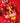 CJ003_CJ003_LS02_2019