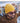 NELB_Atlantis_NELSON-Beanie_NELB_03