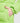 Roly_TALLIN_PK5075_22502_3_2_2025
