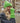 B397R_Beechfield_Colour-Pop-Hand-Warmers_B397R_b396r_bright-green_lifestyle_0059