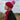 B437_Beechfield_Apres-Beanie_B437_classic-red_true-pink_lifestyle_4184
