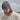 B438N_Beechfield_Organic-Cotton-Engineered-Patch-Beanie_B438N_graphite-grey_lifestyle_0709
