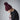 B480_Beechfield_Cable-Knit-Melange-Beanie_B480_Burgundy-Lifestyle-1