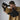 B491_Beechfield_Fingerless-Gloves_B491_Black-Lifestyle-1
