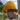 B52N_Beechfield_Organic-Cotton-Waffle-Beanie_B52N_Mustard-Lifestyle