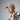 B641_Beechfield_Removable-Patch-Snapback-Trucker_B641-Desert-Sand-Lifestyle-1