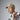 B641_Beechfield_Removable-Patch-Snapback-Trucker_B641-Desert-Sand-Lifestyle-1