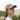 B652N_Beechfield_Organic-Cotton-6-Panel-Dad-Cap_B652N_Desert-Sand-Lifestyle-1