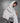 BC_BC_Inspire_Zipped-Hood_women_WW36B_White_9_2026