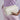 BG749_Bagbase_Boutique-Toiletry_Accessory-Case_BG749_oyster_lifestyle_0561