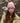 Beechfield_Circular Patch Beanie_B446 - Dusky Pink Lifestyle Shot_2025