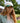 Beechfield_Contrast Peak Low Profile Vintage Cap_B673_natural_vintage-bottle-green_lifestyle_0344_2026