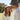Beechfield_Organic Cotton Bucket Hat_B90N_graphite-grey_b90n_sand_lifestyle_0912-2025