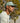 Beechfield_Organic Cotton 5 Panel Cap_B62N_Dusty Green_Lifestyle_2026