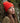 Beechfield_Original Cuffed Beanie_B45 - Sunset Lifestyle 02_2025