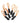 QX505_045_quadra_qx505_orange