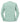 Russell_ Adults Authentic Sweat_262M_eucalyptus green_0R262M0GT_back