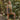 W801_Westford-Mill_EarthAware-Organic-Bag-for-Life_W801_olive-green_Lifestyle_1A18I8072