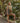 W801_Westford-Mill_EarthAware-Organic-Bag-for-Life_W801_olive-green_Lifestyle_1A18I8072