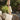 W965_Westford-Mill_Revive-Recycled-Maxi-Tote-Bag_W965-Natural-Lifestyle-1